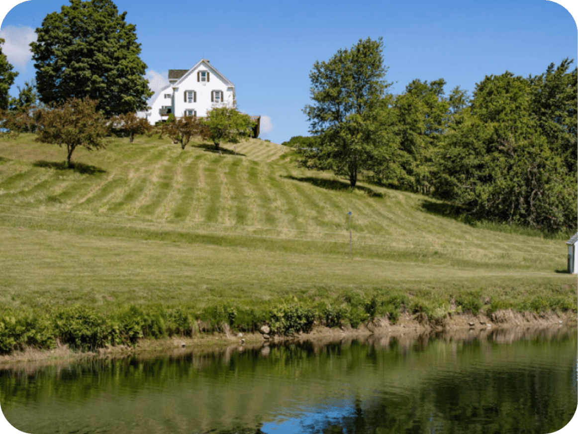 Forms of Therapy That Can Help