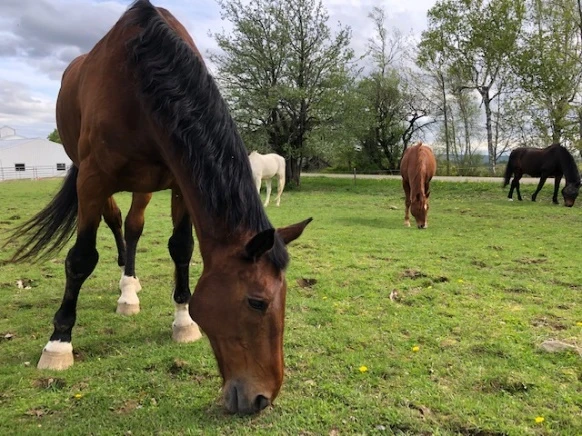 EB014857 5374 49A5 BDC2 CBE10957034B EB014857 5374 49A5 BDC2 CBE10957034B