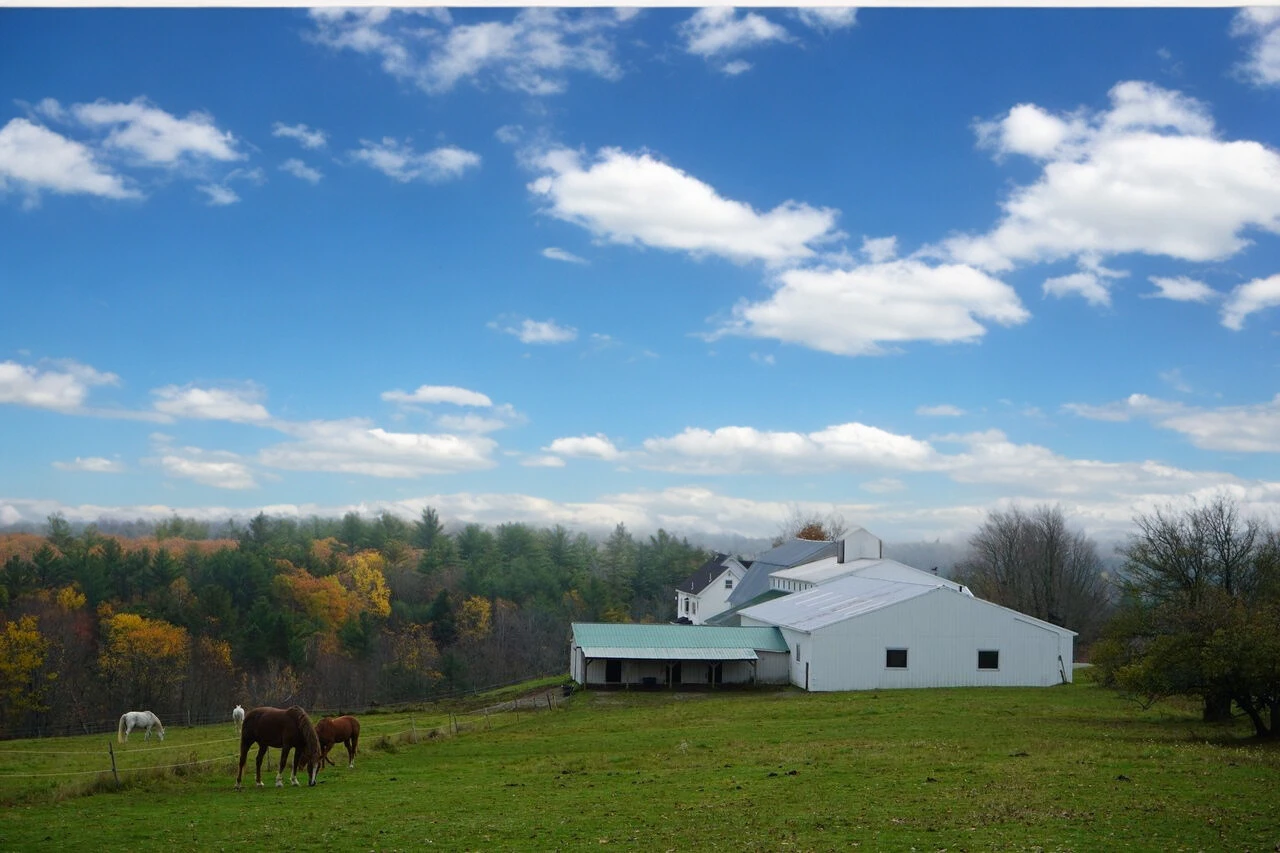 The Ridge Maine 4 The Ridge Maine 4